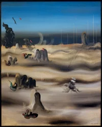 Terra das sombras