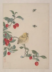 Aves, insectos e flores
