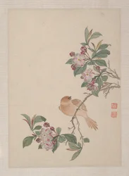 Aves, insectos e flores