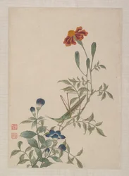 Aves, insectos e flores