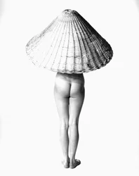 Nu com cesto de vime na cabeça", 3 de maio de 1955