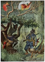 paisagem