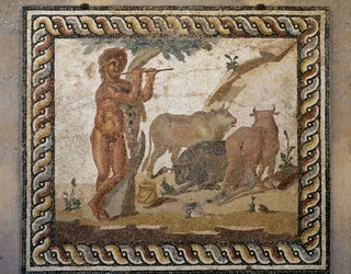 Flautista e bois