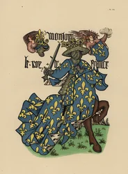 Francisco I, Rei de França, O Rei de França