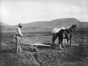 Índio arando sua terra, Reserva Indígena de Sacaton, Arizona, c.1909 (foto em preto e branco)