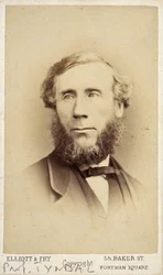 John Tyndall, físico irlandês, c 1875
