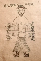 Museum of Traditional Vietnamese Medicine, The channels and vessels, Livro de acupunctura, Cidade de Ho Chi Minh, Vietname