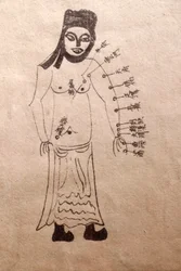 Museum of Traditional Vietnamese Medicine, The channels and vessels, Livro de acupunctura, Cidade de Ho Chi Minh, Vietname