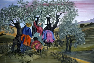 Apanha da azeitona, ingénua de Barbara Mencarelli, Mandoleto, Solomeo, Umbria, Itália