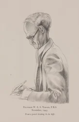 Professor W E S Turner, Novembro