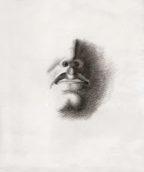 Estudo para o rosto de um homem: boca e nariz. cerca de 1830 (desenho)