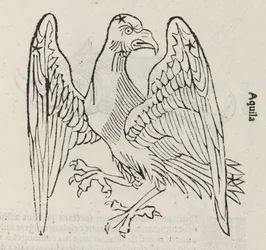 A constelação de Aquila
