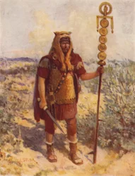 Um portador padrão no campo
