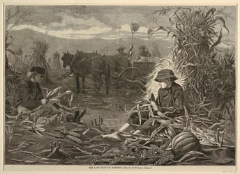 The Last Days of Harvest, da Harper