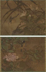 pássaros e flores