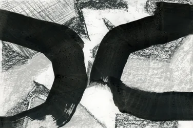 Curvas abstratas em preto