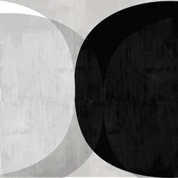 Curvas abstratas pretas e brancas