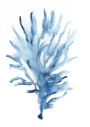 Resumo: Coral Azul