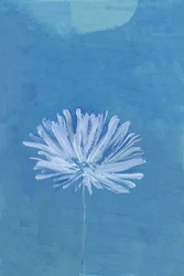Flor da Lua Azul
