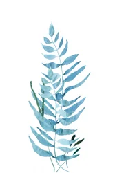 Feto em aquarela azul