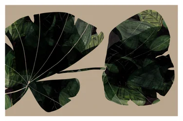 Folhas tropicais escuras