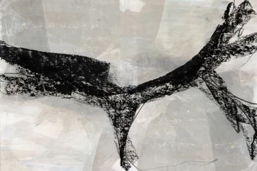 Forma abstrata dinâmica