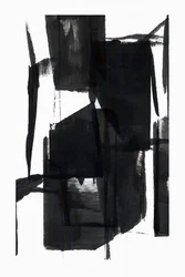 Formas Negras Dinâmicas
