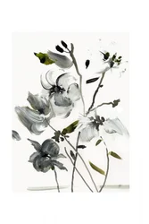 Flores abstratas elegantes