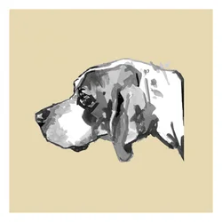 Perfil de um cão elegante