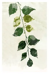 Ouro Verde 3