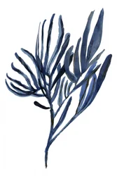 Ramos Botânicos Indigo