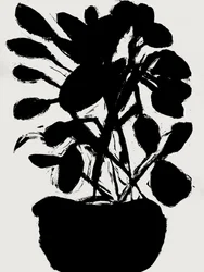 Planta em vaso minimalista