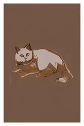 Gato com estilo moderno