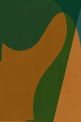 Fluxo de cor orgânico