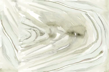 Abstrato Orgânico Fluido