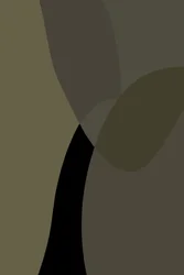 Curvas abstratas suaves