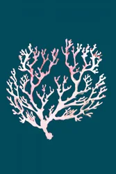 Coral rosa suave