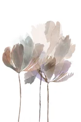 Flores em aquarela suave