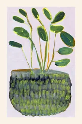 Planta em vaso colorida