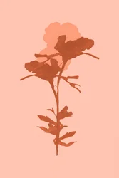 Flores botânicas aconchegantes