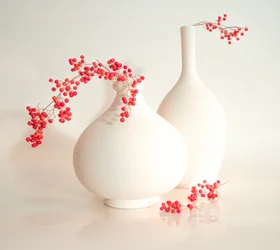 Vasos elegantes para frutos silvestres