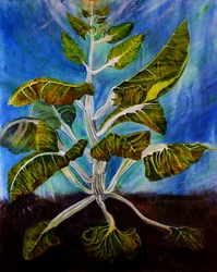 Acelga aparafusada, 2016 (óleo sobre tela)