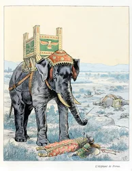 Ilustração do livro "A la gloire des betes" texto de A Fabre, desenhos de Jacques Marie Gaston Onfray de Breville dit JOB (1858-1931), editora Maison Alfred Mame et fils: O elefante de Porus (Na Batalha de Hydaspe em 328 aC Porus derrotado por