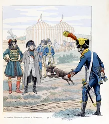 Ilustração do livro "A la gloire des betes" texto de A Fabre, desenhos de Jacques Marie Gaston Onfray de Breville dit JOB (1858-1931), editora Maison Alfred Mame et fils: O caniche do bigode apresentado ao Imperador (Napoleão I) (ele salvou uma bandeira